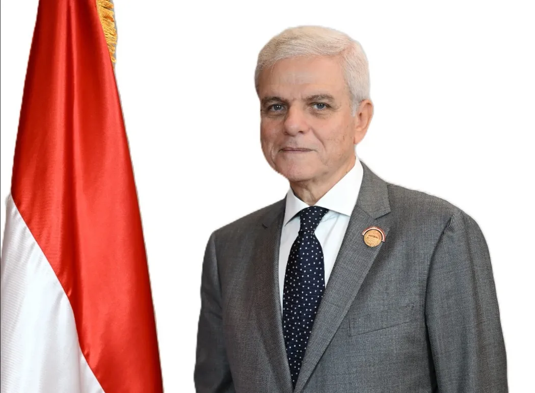 السفير حاتم سيف النصر 